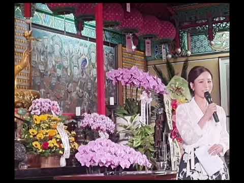비디오 7