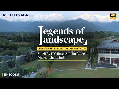 The Msog Inside Landscapes
