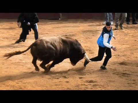 4K Ciudad Rodrigo Carnaval del Toro 2023