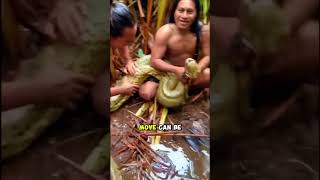 These Men Fearlessly Grabbed a Giant Anaconda!