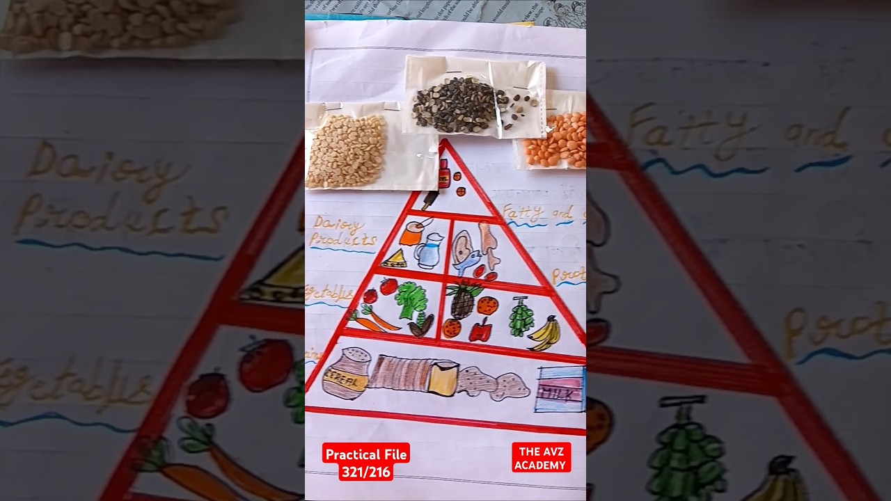 Home Science Practical File || How to Create NIOS Home Science Practical File  Tips for High Marks