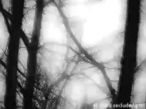 Riceboy sleeps - All The Big Trees ( Movie )