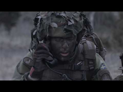 Sweden's Amphibious Fighters | Amfibiekaren