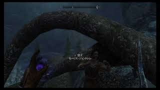 switch版スカイリム(23)：エルダーぐチームの復活の為に！