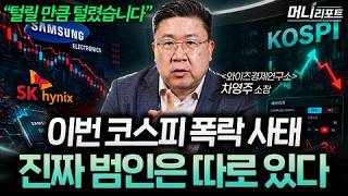 "공포에 팔 때가 아닙니다" 삼전·닉스 폭락시킨 진짜 원인은 바로 이겁니다 (차영주 소장 2부) l 머니리포?