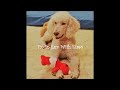 Super Dog Max Falls For Baby Elmo Dog Lovers