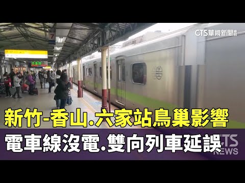 新竹-香山.六家站鳥巢影響.電車線沒電　雙向列車延誤