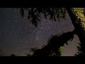 Perseid Meteor Shower 2021 Biggest Meteor Shower Of The Year 12 August
