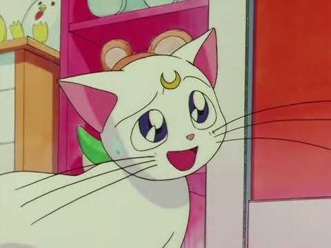 Minako Angry at Artemis (ViZ Media Dub)