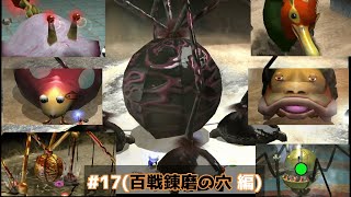 【ピクミン2】ヨダツのプレイ動画 17日目(お宝コンプの旅：百戦錬磨の穴 編)