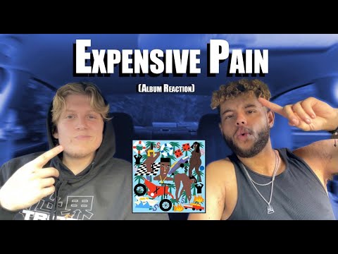 Meek Mill - EXPENSIVE PAIN (Full album) REACTION/REVIEW