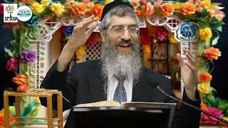 הרב יצחק יוסף (הנכד) - הלכות סוכה ...  שידור ישיר . (ארגון ענפים) - התמונה מוצגת ישירות מתוך אתר האינטרנט יוטיוב. זכויות היוצרים בתמונה שייכות ליוצרה. קישור קרדיט למקור התוכן נמצא בתוך דף הסרטון הרב יצחק יוסף (הנכד) - הלכות סוכה ...  שידור ישיר . (ארגון ענפים) - התמונה מוצגת ישירות מתוך אתר האינטרנט יוטיוב. זכויות היוצרים בתמונה שייכות ליוצרה. קישור קרדיט למקור התוכן נמצא בתוך דף הסרטון