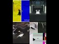 16 Funny Pingu