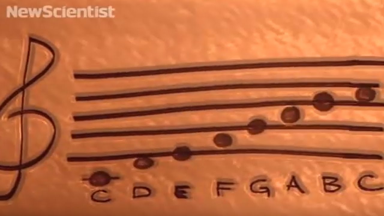 youtube video id=YOQb_mtkEEE