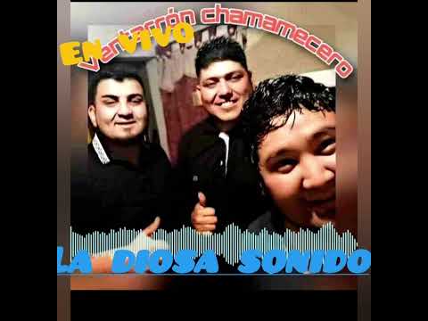 Ventarrón  chamamecero en vivo!!!