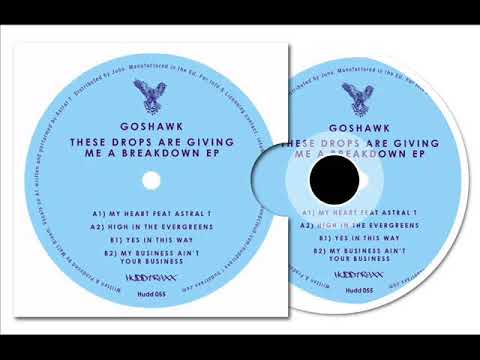 Goshawk - High In The Evergreens (Original Mix)