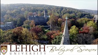 A Tour of Biological Sciences
