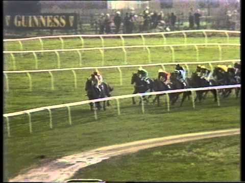 1991 Christie's Foxhunter Chase Challenge Cup