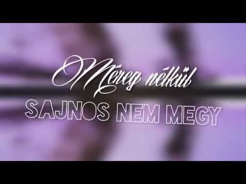 Nyers feat. Papp Szabi - Méreg nélkül (Somogyvári remix)