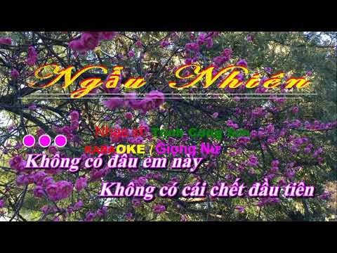 Ngẫu Nhiên  / Trịnh Công Sơn - Karaoke / Giọng Nữ (cho Bạn)