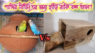 পাখির বিডিং এর জন্য হাঁড়ি নাকি বক্স ভাল?😀 বিডিং এর জন্য কি ব্যবহার করবেন?হাঁড়ি/বক্স