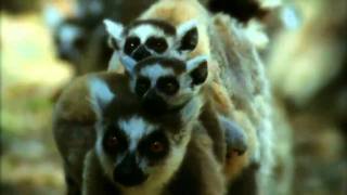 Scala &amp; Kolacny Brothers - With Or Without You (U2)