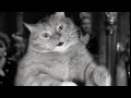 I Wanna Be Loved By You - Fat Cat Art 
