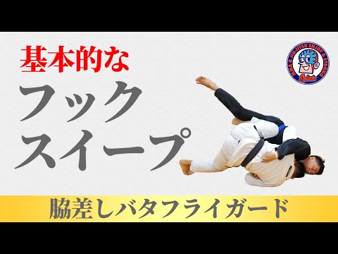 基本的なバタフライガードからフックスイープ