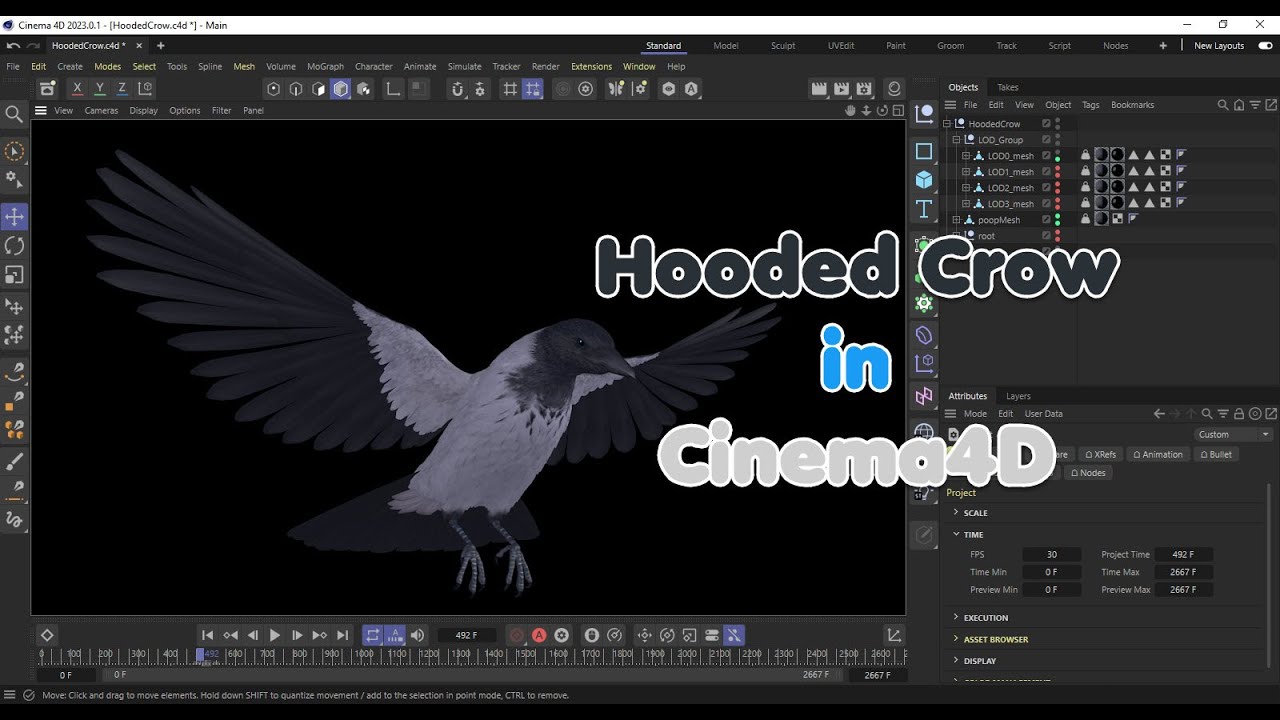 Corvo encapuzado animado realista Modelo 3D
