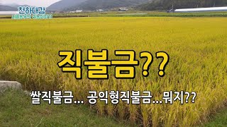 직불제 개편?? 쌀직불금과 공익형직불금 차이점 이해하기..
