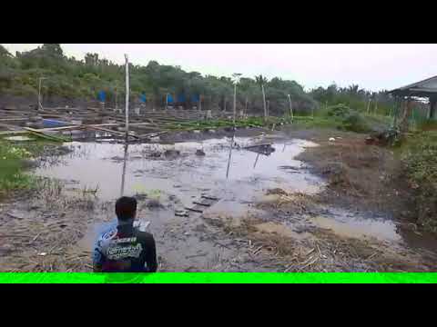 Banjir membawa berkah