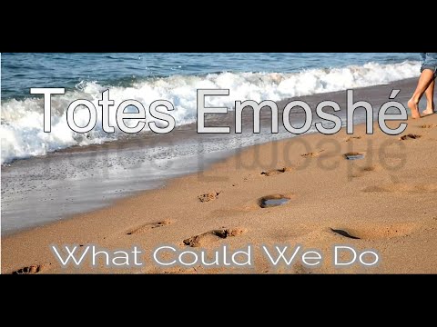 Totes Emoshe - What Could We Do [Garage-House Mix]