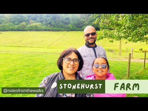 Stonehurst Farm Loughborough: Family Adventure & Animal Encounters 🐄🐐🚜
