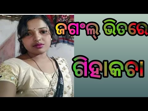Sambalpuri Story Giha Kacha |  Sambalpuri GihabKacha Kahani Odia