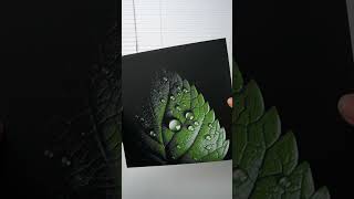 Looks like a real leaf. Printed with Creator 5 every co