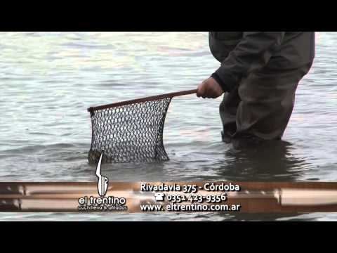 PESCA EN LAGUNAS DE TIERRA DEL FUEGO