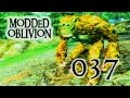 The Trolls Of Swampy Cave MODDED OBLIVION 037