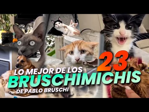 LO MEJOR DE LOS BRUSCHIMICHIS 23 - PABLO BRUSCHI