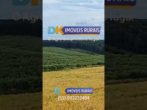 Fazendas à Venda no RS | Oportunidades em Ijuí, Bagé, Rosário do Sul, Cacequi e Alegrete