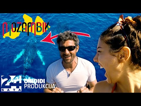 Plivali s kitopsinama i gledali morske pse | Mozambik s Dušanom Bućanom i Sarom Hdaghaom