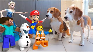 Animations in REAL LIFE vs Funny Dogs 🥳 Mario - Olaf - LEGO and Many More!
