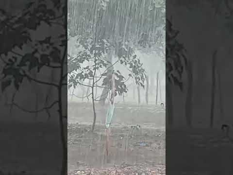 Chuva Forte em Dizimeiro Camocim Ceará 28/04/2026