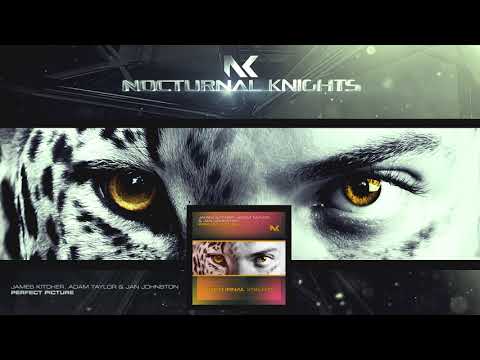 James Kitcher, Adam Taylor & Jan Johnston - Perfect Picture