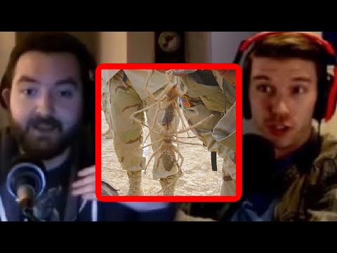 Dealing with Insects and Animals | PKA