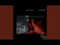 Red And Black Shifts (feat. Kurt Rosenwinkel)