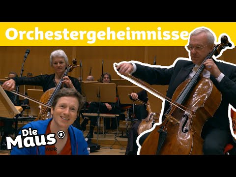 Welche Geheimnisse hat ein Orchester? | DieMaus | WDR