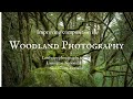 Landscape Photography/ Improving composition in woodland photography