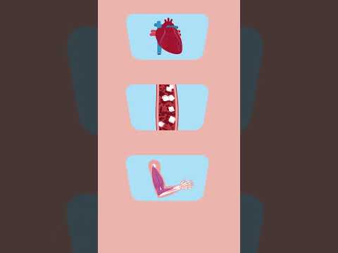 Adrenalin & Kortisol: So wirken die Hormone bei #stress im Körper