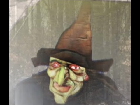 Promotional video thumbnail 1 for Wicked Witch Impersonator