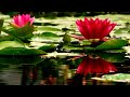Savitri's Dream